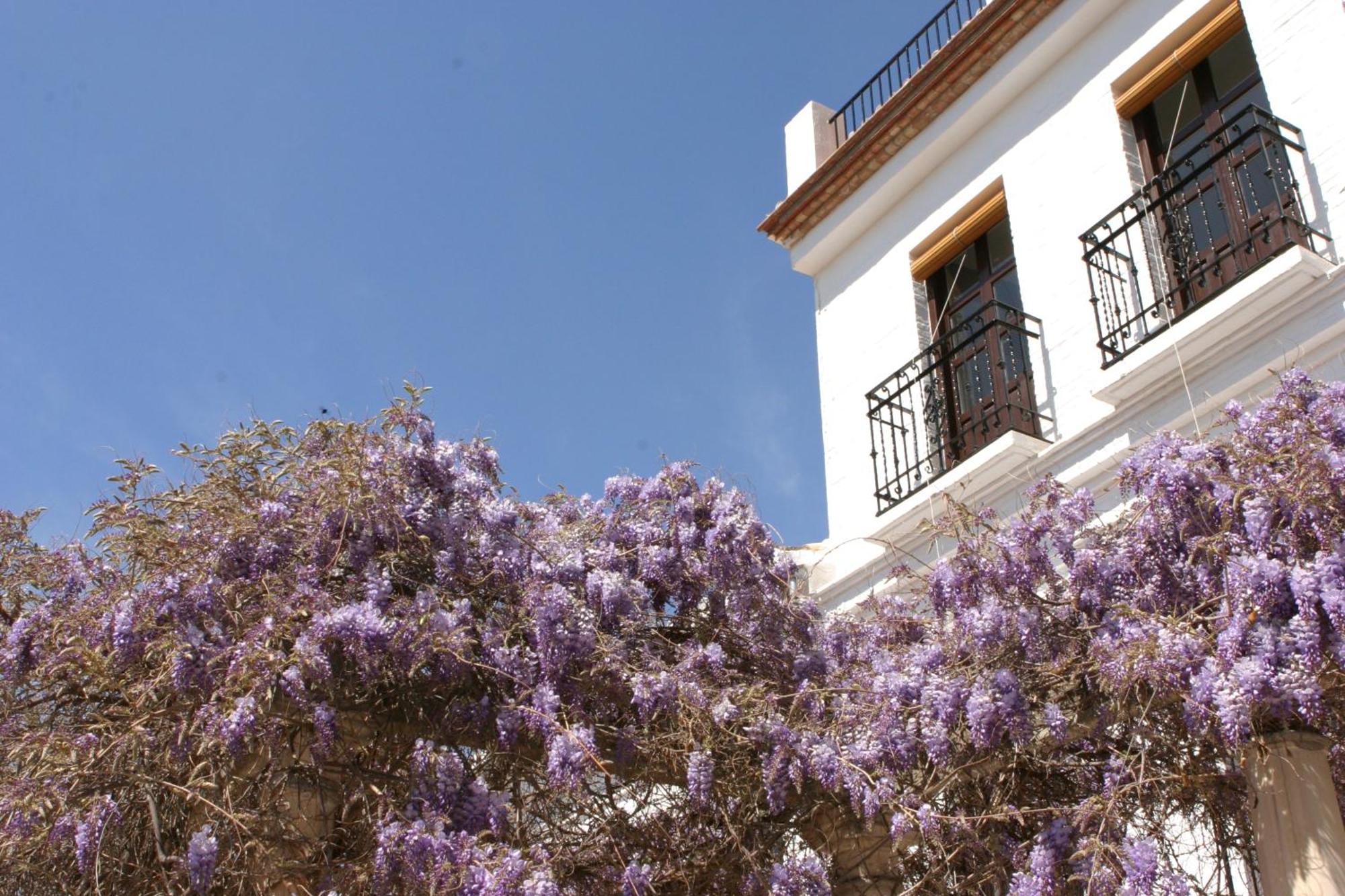 Carmen De La Alcubilla Del Caracol Hotel Granada Exterior foto